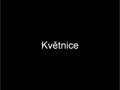 Plazivá kačena, fotografie 47