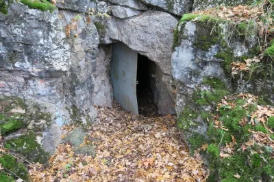 Plazivá kačena, fotografie 63