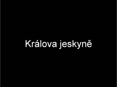 Plazivá kačena, fotografie 98