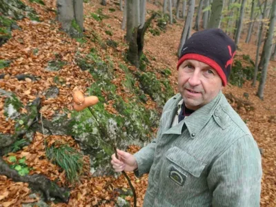Plazivá kačena, fotografie 105