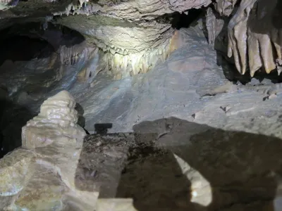 Plazivá kačena, fotografie 122