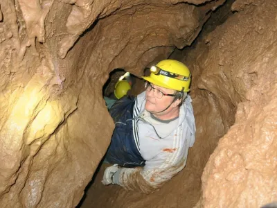 Plazivá kačena, fotografie 137