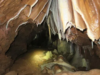 Plazivá kačena, fotografie 162