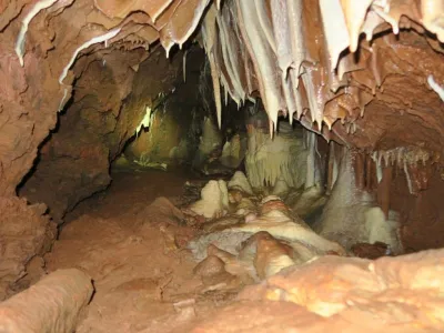 Plazivá kačena, fotografie 163