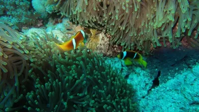 Egypt - Jižní safari, fotografie 62