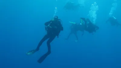 Egypt - Jižní safari, fotografie 77