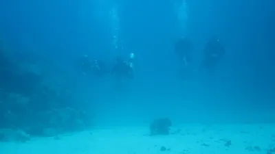 Egypt - Jižní safari, fotografie 135