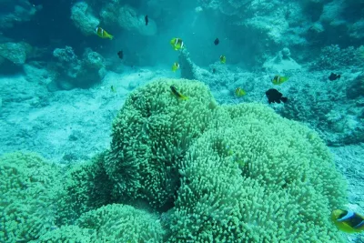 Egypt - Jižní safari, fotografie 156