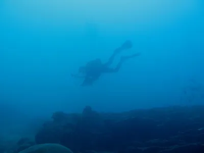 Maledivy - Indický oceán, fotografie 3
