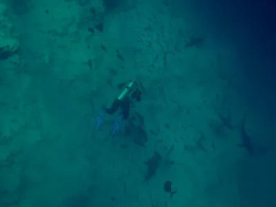 Maledivy - Indický oceán, fotografie 26