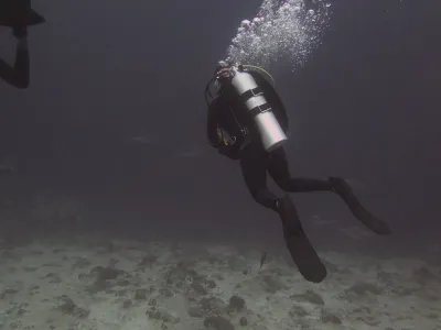Maledivy - Indický oceán, fotografie 69