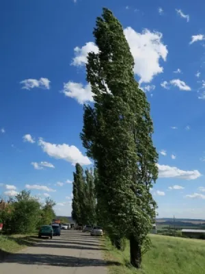 Lom Šošůvka, fotografie 363